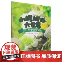 小鳄蜥的大世界