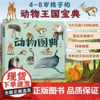 动物图典 孙雪松 3-8岁儿童孩子幼儿园低年级一二三年级动物王国宝典科普读物图书籍 5大分类104种动物 真实手绘图片