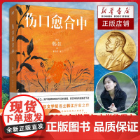 [2024诺贝尔文学奖 韩江作品]伤口愈合中 中文版 全新引进疗愈之作 韩国现当代文学小说随笔素食者黑夜的狂欢 磨铁图书