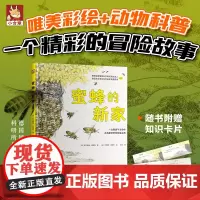 蜜蜂的新家 (德)克尔斯滕·特雷纳 小学生儿童文学课外阅读书目少儿童书读物书籍正版 江苏凤凰科学技术出版社