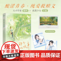 限量亲签版 那个夏天的故事 文成三百斤著经典双向救赎纯爱青春校园言情小说正版实体书籍过秋天暗恋这件难过的小事赠明信片等