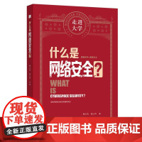 什么是网络安全?