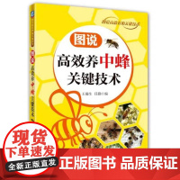图说高效养中蜂关键技术