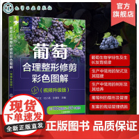 葡萄合理整形修剪彩色图解 视频升级版 乡村振兴之科技兴农系列 果树种植 葡萄合理整形修剪技术指导书籍 高校果树园艺专业参