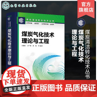 煤炭气化技术 理论与工程 煤炭清洁转化技术丛书 煤气化技术的最新进展和工程应用 煤气化技术开发设备设计和工程设计人员参考