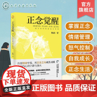 正念觉醒 别让你的情绪毫无价值 正念练习和技巧 改善情绪管理 提升生活质量 成人情绪稳定养成书记 管理情绪 提升自我 内