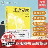 正念觉醒 别让你的情绪毫无价值 正念练习和技巧 改善情绪管理 提升生活质量 成人情绪稳定养成书记 管理情绪 提升自我 内
