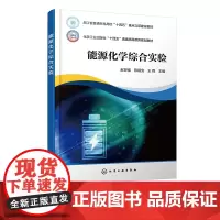 能源化学综合实验 赵世强 新型能源存储与转换器件结构组成原理组装方法实验 关键能源材料设计合成 高等院校能源化学专业实验