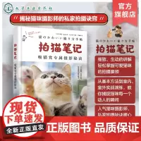 拍猫笔记 猫咪摄影师吸猫党专属摄影秘诀 猫咪爱好者拍摄指南捕捉猫咪魅力秘诀基础 相机设置 光线运用 构图技巧 宠物摄影参