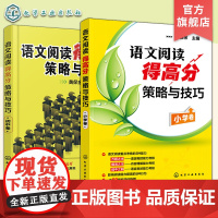 2册 语文阅读得高分策略与技巧小学卷 初中卷 语文同步拓展阅读 中小学语文阅读基础知识手册 语文阅读教辅中小学阅读理解答