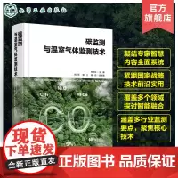 碳监测与温室气体监测技术 碳监测实用工具书 多种温室气体监测技术测量原理 系统组成 关键部件 碳计量 温室气体监测 碳排