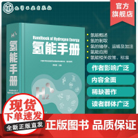 氢能手册 氢能技术 氢能源 氢经济 我国首部氢能手册 全面展现氢能技术现状和技术发展 氢能工具书 高等院校新能源化工冶