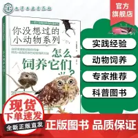 你没想过的小动物系列 怎么饲养它们 小学生的小动物宝典 小学生动物知识图文科普读物 儿童动物知识兴趣启蒙亲子阅读图文科普