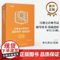店 注册会计师考试辅导用书 基础进阶 审计 全3册 斯尔教育CPA组讲师编写 经济法战略税法讲义题库历年真题习题