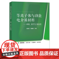 店 等离子体与功能电介质 原理 技术与工程应用 张嘉伟 等离子体与功能电介质基本理论及应用书籍 电子工业出版社