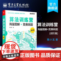 店 算法训练营 海量图解+竞赛刷题 进阶篇 常用数据结构与算法数据结构动态规划算法规划优化技巧 网络流算法书籍
