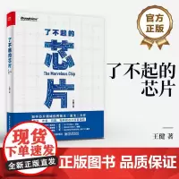 店 了不起的芯片 芯片科普书 芯片的前世今生及发展历史 王健 著 电子工业出版社