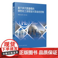 基于多尺度建模的绿色化工流程设计及动态控制 田文德 绿色化工基本概念方法和新进展 化工环境及其他相关专业研究生应用参考书
