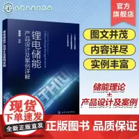 锂电储能产品设计及案例详解 户外便携式储能产品 户用储能产品 汽车应急启动电源 工商业储能产品 储能产品研发技术人员参考