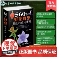 560种野菜野果鉴别与食用手册 食用部位方法功效注意事项 野菜识别特征 中医草药材识别图大全 有毒植物识别图集 自然科学