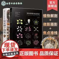 2册 如何观察身边的花 有趣的植物解剖图鉴 世界上不可思议的果实种子图鉴 一本新颖的果实种子视觉图鉴 自然探索科普课外阅