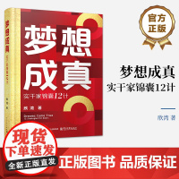 店 梦想成真 实干家锦囊12计 开启梦想家之旅 打开实干家锦囊以及获取成功者密码 逐层深入地引导你完成梦想之旅