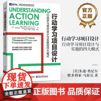 店 行动学习项目设计 行动学习项目设计与实施的四大模式 行动学习理念实践技巧 行动学习本质 项目实践书籍