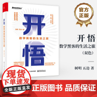 店 开悟 数学黑客的生活之旅 双色 掌握数学思维 开启智慧生活 快速触达现象背后的底层规律 体验数学黑客奇妙活法