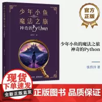 店 少年小鱼的魔法之旅 神奇的Python 一个神奇的魔法世界 小鱼将带你穿梭于代码的迷宫 张伟洋 著 电子工业出版社