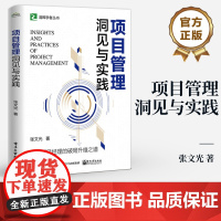 店 项目管理洞见与实践 张文光 卓越项目经理的破局升维之道 洞察人性组织团队管理 项目组织高效沟通 项目管理逻辑书籍