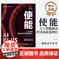店 使能 人工智能驱动经济高质量增长 隋越 杨学成 数字化时代企业转型升级参考书 智能企业运算智能感知智能认知智能书