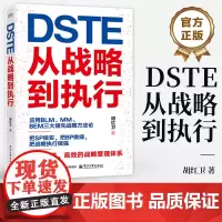 店 DSTE 从战略到执行 胡红卫 DSTE管理变革 企业战略管理理论实践 BLM MM BEM三大领先战略方法论应用