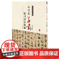 孙过庭草书临习技法精解(上卷)——历代名家碑帖临习技法精解 9787534858925 中州古籍出版社 白龙 编著
