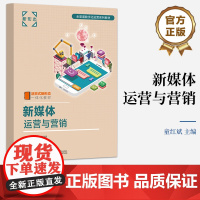 店 新媒体运营与营销 新媒体营销认知与运营技能准备讲解书籍 新媒体运营定位与实施介绍书 童红斌 著 电子工业出版社
