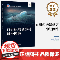 店 自组织增量学习shen经网络 自组织神经网络的起源与发展讲解书籍 申富饶 著 9787121474385 电子工业出