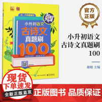 店 小升初语文 古诗文真题刷100 小升初古诗词、文言文真题集训讲解书籍 小学古诗词、文言文知识梳理与技法点拨介绍书