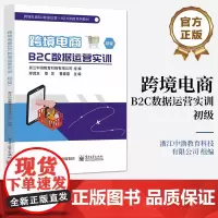 店 跨境电商B2C数据运营实训 初级 商品运营管理讲解书籍 线上交易处理介绍书 电子工业出版社