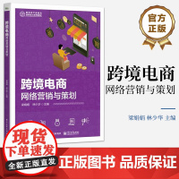 店 跨境电商网络营销与策划 跨境网络营销认知讲解书籍 跨境网络营销环境与市场调研介绍书 电子工业出版社 梁娟娟