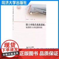 软土本构关系新进展:粘塑性与双孔隙结构 乔亚飞 同济大学出版社
