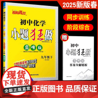 2025春新版恩波教育初中化学小题狂做 九年级下册巅峰版 HJ沪教版初三9年级下 同步复习训练阶段综合中考专项同步教材附
