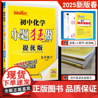 2025春新版 恩波教育 初中化学小题狂做9/九年级下册 提优版人教版RJ 高初三下册课时同步练习阶段测试专题提优附赠答