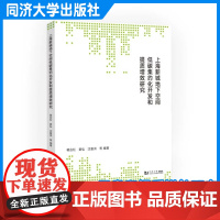 上海新城地下空间低碳集约化开发和提质增效研究 同济大学出版社