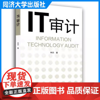 IT审计 基本概念、目标的基础 三维框架 林杰 同济大学出版社
