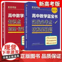 高中数学蓝宝书 红宝书 实战必考点.破解压轴题+知识点梳理精讲贯通 李正兴著 高中数学专项精练精讲精析 高三高考学生复习