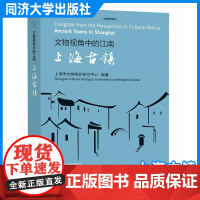 文物视角中的江南:上海古镇 同济大学出版社