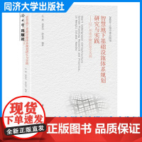 智慧地下基础设施体系规划研究与实践——以广州南沙横沥岛尖为例 同济大学出版社