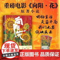《向阳花》电影原著小说 聚焦边缘群体生存困境与人性挣扎 于困境中挣扎 在泥潭里开花 不服输 不认命 豁出去 活下来