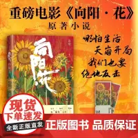 《向阳花》电影原著小说 聚焦边缘群体生存困境与人性挣扎 于困境中挣扎 在泥潭里开花 不服输 不认命 豁出去 活下来