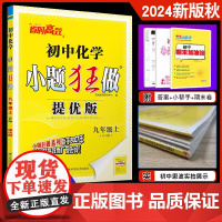 2024秋新版恩波教育 初中化学小题狂做提优版九年级上 人教版初三9上RJ 初中同步复习练习课时教辅附赠小帮手答案 云点