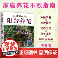 [正版]零基础阳台养花 家庭园艺植物养护室内绿植阳台养花花卉家居植物园艺生活养护技巧花语宜忌 全年花历 病虫害防治